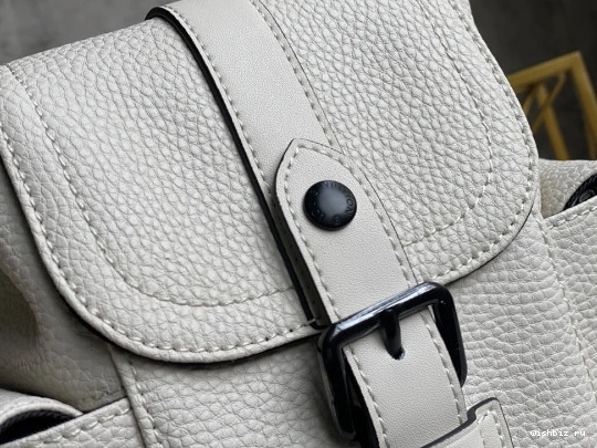 WIS LOUIS XS VUITTON CHRISTOPHER 0819